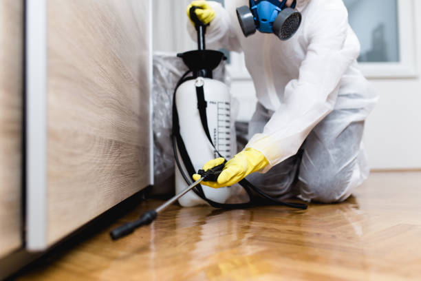 Best Mosquito Control Services  in Belle Fourche, SD