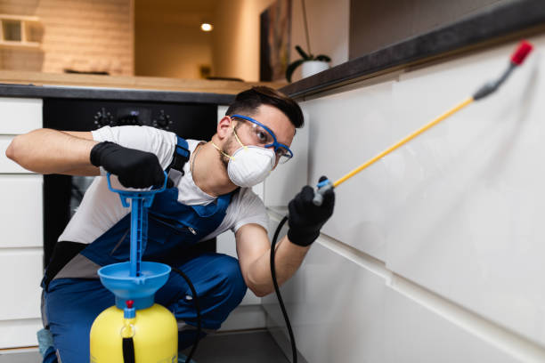 Best Pest Removal Services  in Belle Fourche, SD