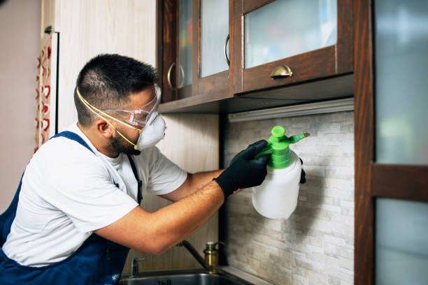 Best Best Pest Control Companies  in Belle Fourche, SD