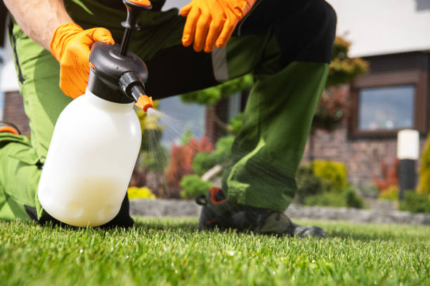 Best Commercial Pest Control Services  in Belle Fourche, SD