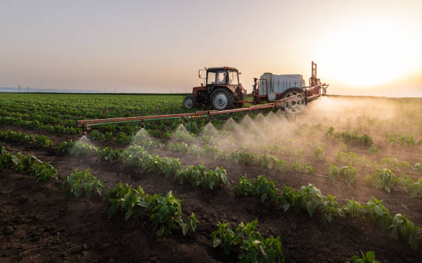 Trusted Belle Fourche, SD Pest Control Experts