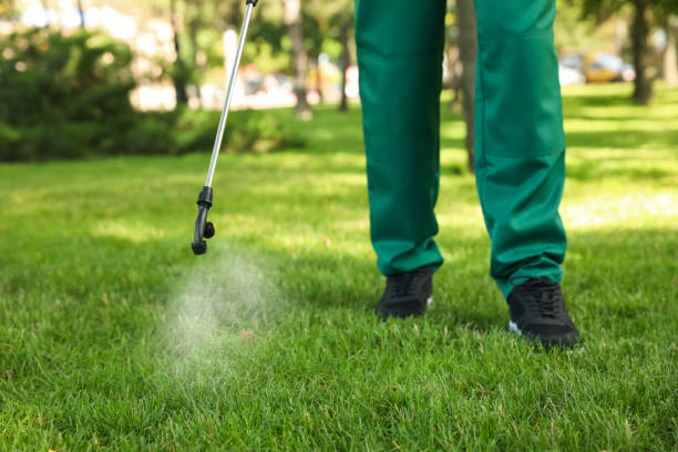 Best Wasp Removal Services  in Belle Fourche, SD