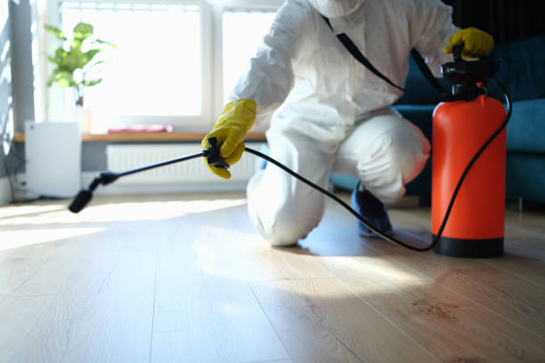 Best Termite Control Services  in Belle Fourche, SD