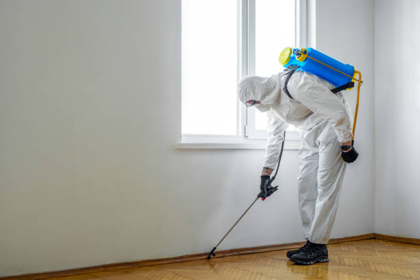 Best Wildlife Control Services  in Belle Fourche, SD