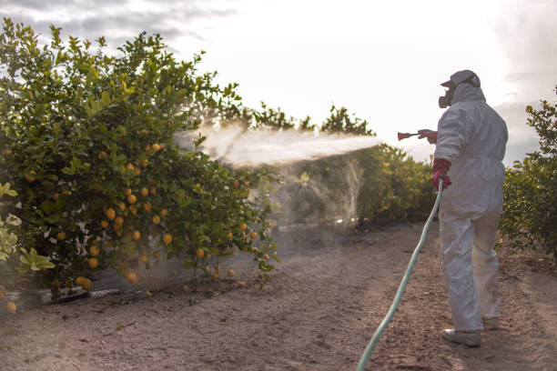 Best Insect Control  in Belle Fourche, SD