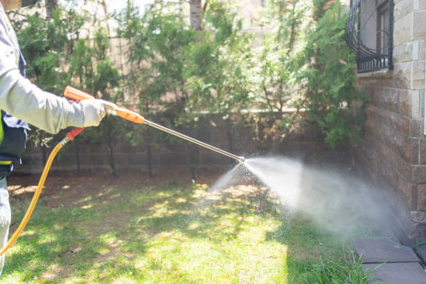 Best Cockroach Control Services  in Belle Fourche, SD