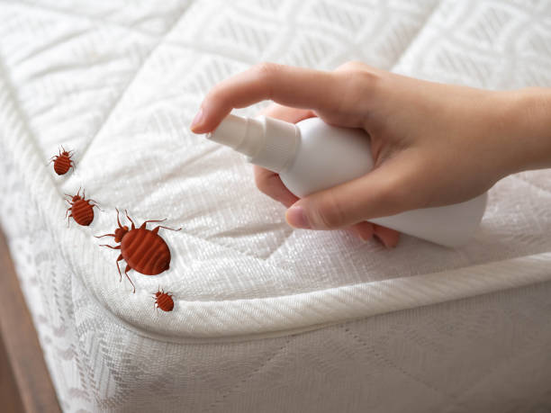 Best Pest Control Near Me  in Belle Fourche, SD
