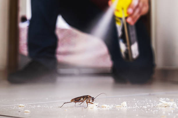 Best Pest Inspection Near Me  in Belle Fourche, SD