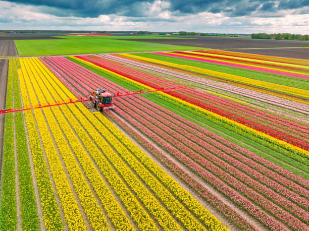 Best Pest Control Cost  in Belle Fourche, SD